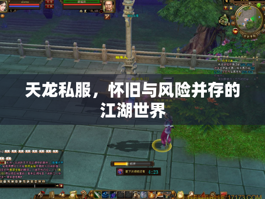 天龙私服，怀旧与风险并存的江湖世界