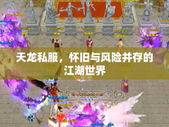 天龙私服，怀旧与风险并存的江湖世界