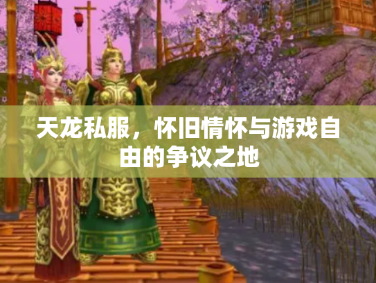 天龙私服，怀旧情怀与游戏自由的争议之地