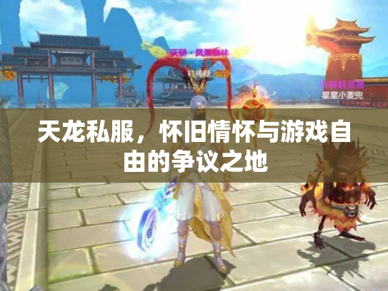 天龙私服，怀旧情怀与游戏自由的争议之地