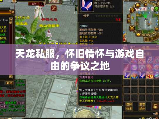 天龙私服，怀旧情怀与游戏自由的争议之地