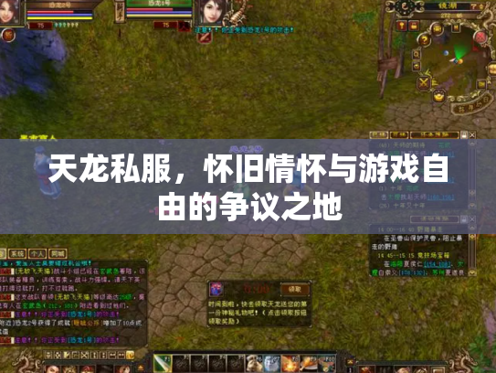 天龙私服，怀旧情怀与游戏自由的争议之地
