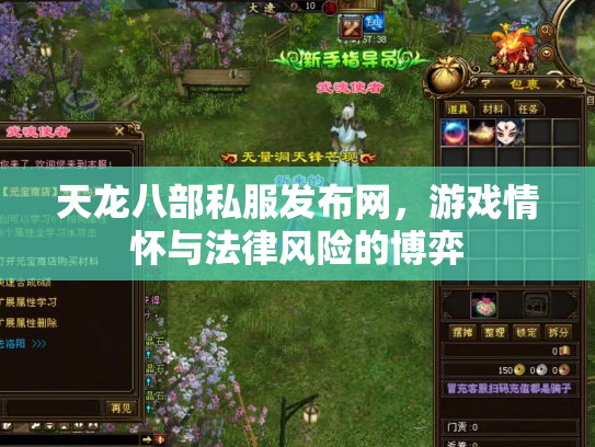 天龙八部私服发布网，游戏情怀与法律风险的博弈