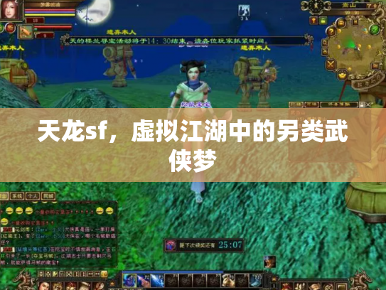 天龙sf，虚拟江湖中的另类武侠梦