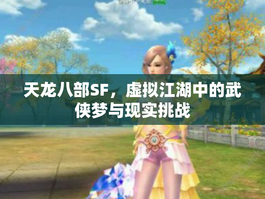 天龙八部SF，虚拟江湖中的武侠梦与现实挑战