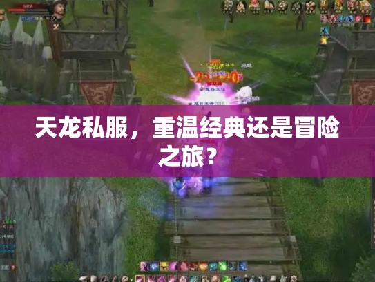 天龙私服，重温经典还是冒险之旅？