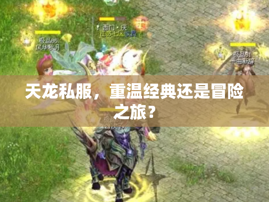 天龙私服，重温经典还是冒险之旅？