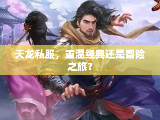 天龙私服，重温经典还是冒险之旅？