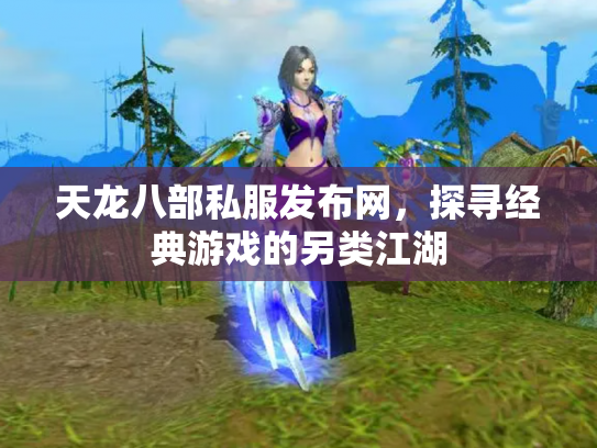 天龙八部私服发布网，探寻经典游戏的另类江湖