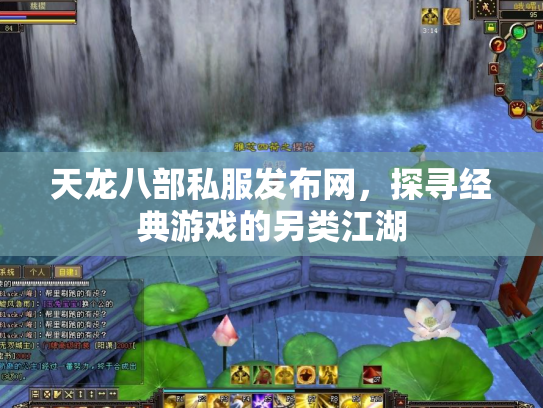天龙八部私服发布网，探寻经典游戏的另类江湖