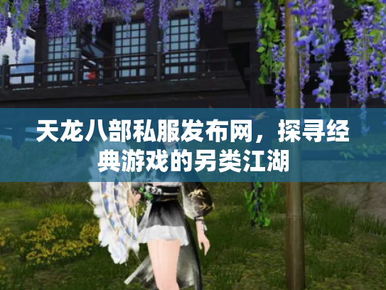 天龙八部私服发布网，探寻经典游戏的另类江湖