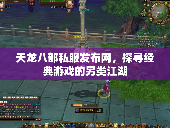 天龙八部私服发布网，探寻经典游戏的另类江湖