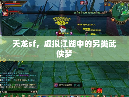 天龙sf，虚拟江湖中的另类武侠梦