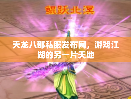 天龙八部私服发布网，游戏江湖的另一片天地