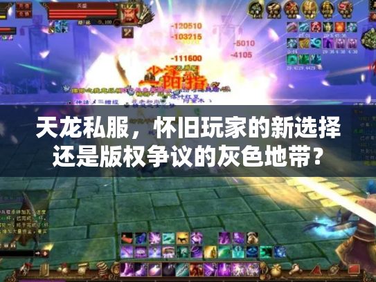 天龙私服，怀旧玩家的新选择还是版权争议的灰色地带？