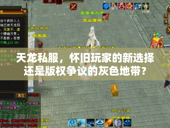 天龙私服，怀旧玩家的新选择还是版权争议的灰色地带？
