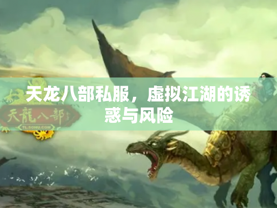 天龙八部私服，虚拟江湖的诱惑与风险