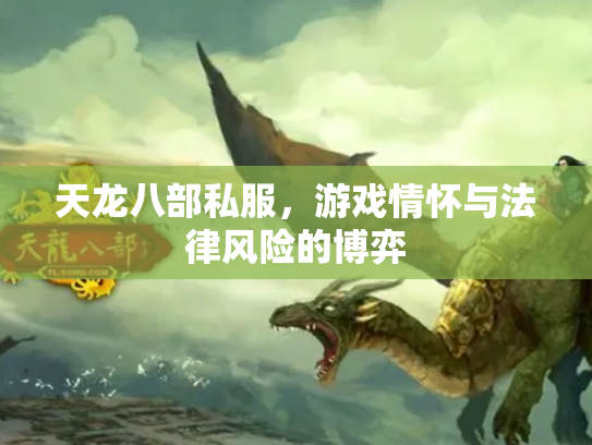 天龙八部私服，游戏情怀与法律风险的博弈
