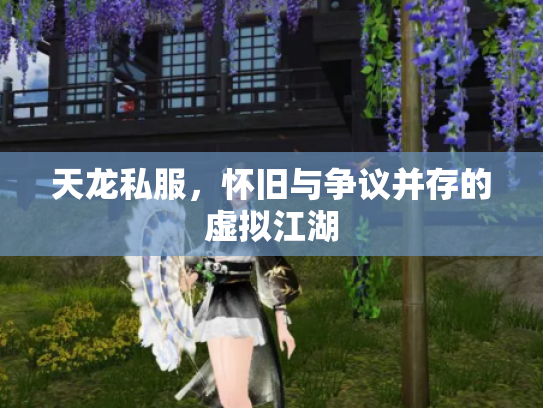 天龙私服，怀旧与争议并存的虚拟江湖