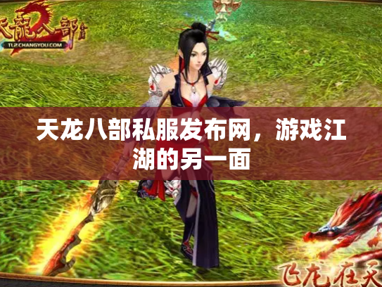 天龙八部私服发布网，游戏江湖的另一面