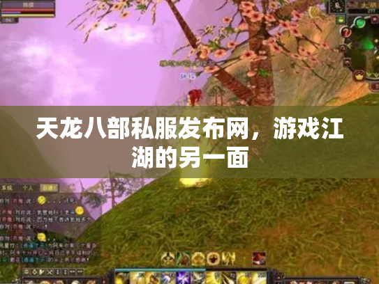 天龙八部私服发布网，游戏江湖的另一面