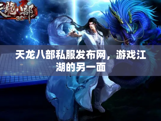 天龙八部私服发布网，游戏江湖的另一面