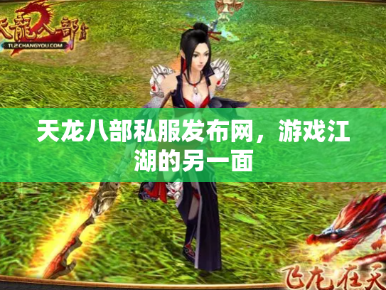 天龙八部私服发布网，游戏江湖的另一面