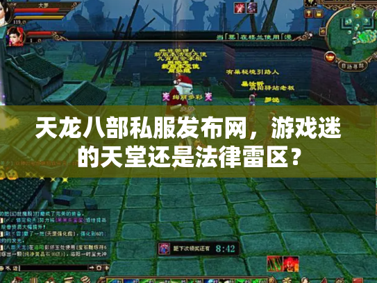 天龙八部私服发布网，游戏迷的天堂还是法律雷区？