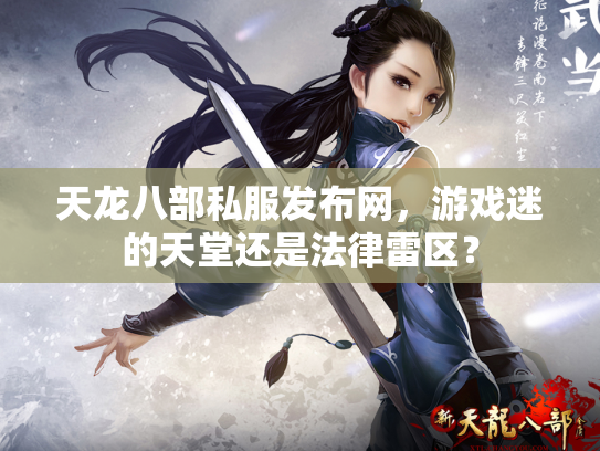 天龙八部私服发布网，游戏迷的天堂还是法律雷区？
