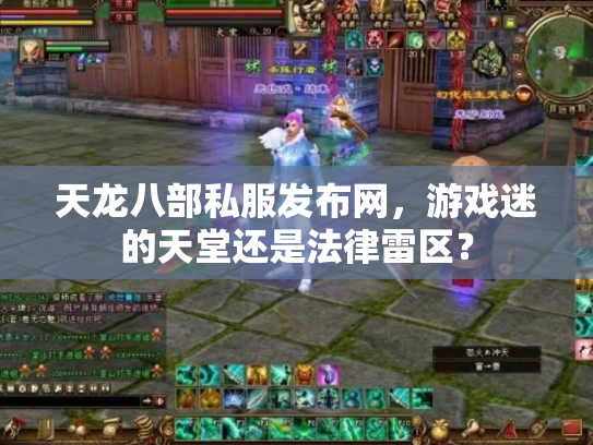 天龙八部私服发布网，游戏迷的天堂还是法律雷区？