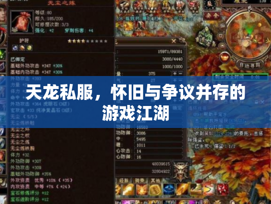 天龙私服，怀旧与争议并存的游戏江湖