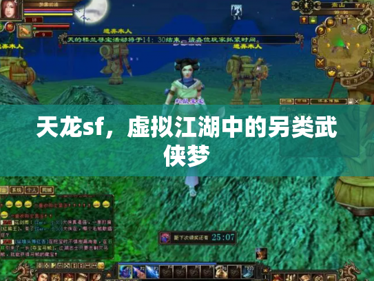 天龙sf，虚拟江湖中的另类武侠梦