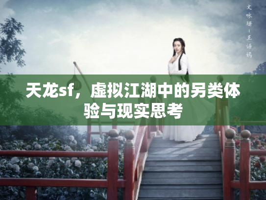 天龙sf，虚拟江湖中的另类体验与现实思考