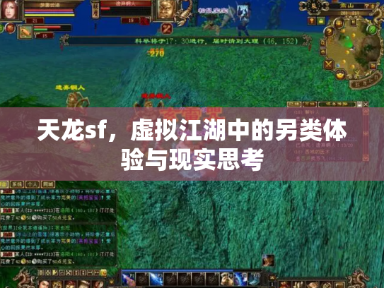天龙sf，虚拟江湖中的另类体验与现实思考