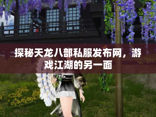 探秘天龙八部私服发布网，游戏江湖的另一面