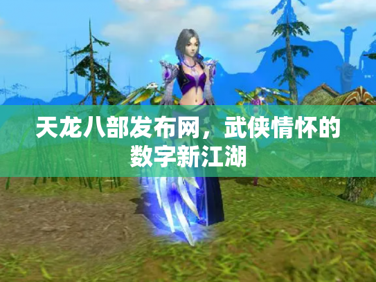 天龙八部发布网，武侠情怀的数字新江湖
