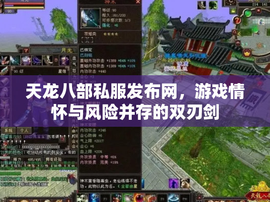 天龙八部私服发布网，游戏情怀与风险并存的双刃剑
