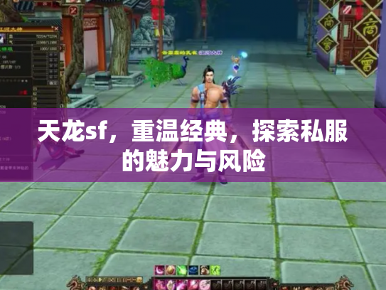 天龙sf，重温经典，探索私服的魅力与风险