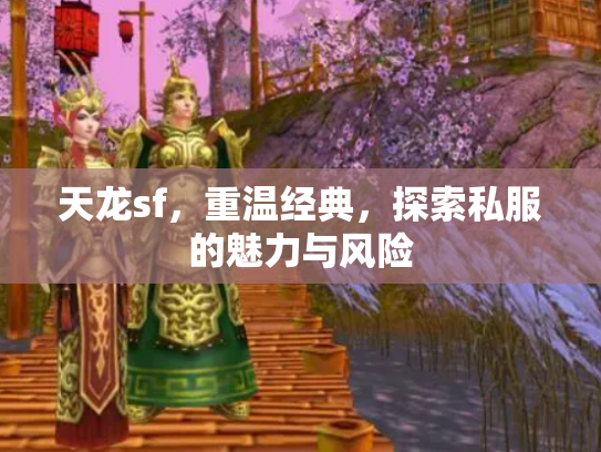 天龙sf，重温经典，探索私服的魅力与风险