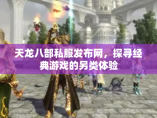 天龙八部私服发布网，探寻经典游戏的另类体验