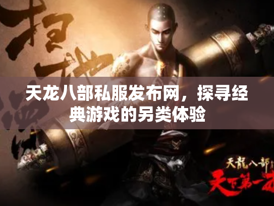 天龙八部私服发布网，探寻经典游戏的另类体验