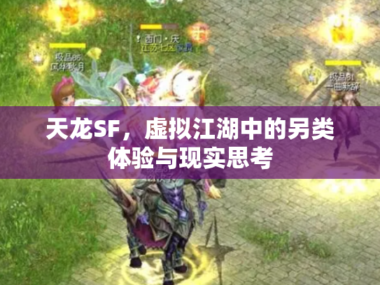 天龙SF，虚拟江湖中的另类体验与现实思考