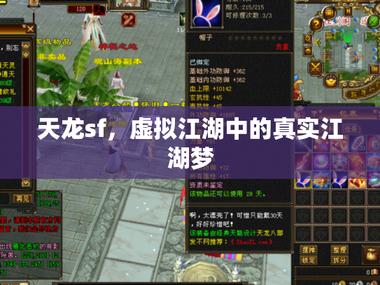 天龙sf，虚拟江湖中的真实江湖梦