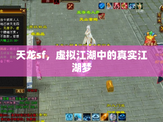 天龙sf，虚拟江湖中的真实江湖梦