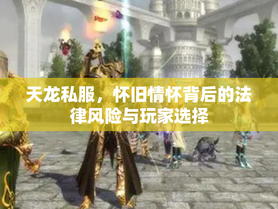 天龙私服，怀旧情怀背后的法律风险与玩家选择