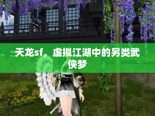 天龙sf，虚拟江湖中的另类武侠梦