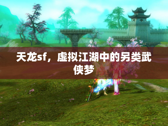 天龙sf，虚拟江湖中的另类武侠梦