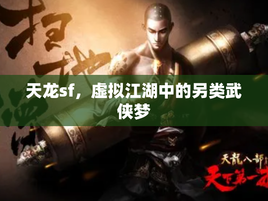 天龙sf，虚拟江湖中的另类武侠梦