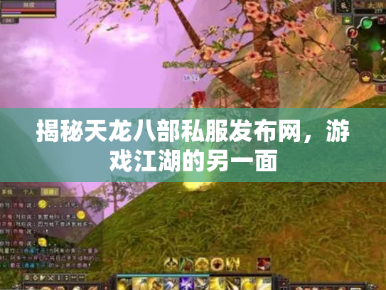 揭秘天龙八部私服发布网，游戏江湖的另一面