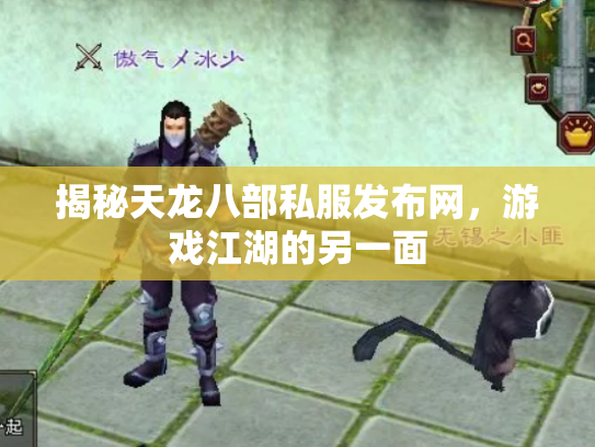 揭秘天龙八部私服发布网，游戏江湖的另一面